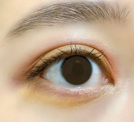 ピカシュウ アイ パレット‐サンダーショック/shu uemura/アイシャドウパレットを使ったクチコミ(2枚目)