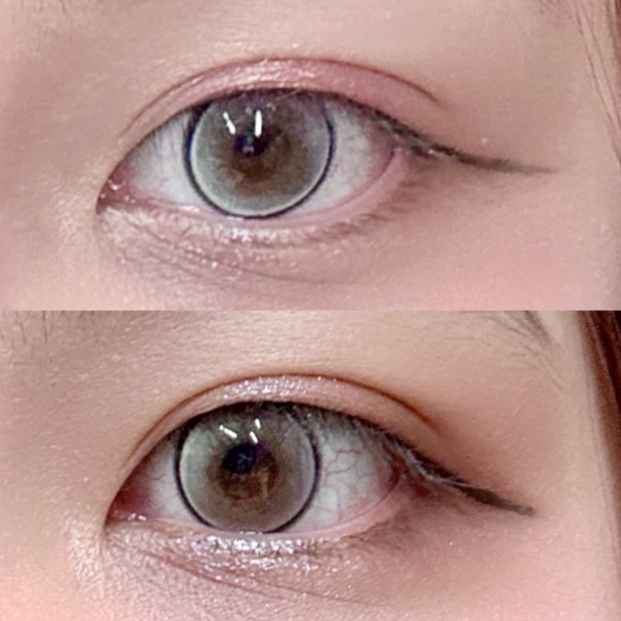 SHEGLAM Monster Book of Monsters Paletteのクチコミ「【使った商品】
SHEGLAM Monster Book of Monsters Palett.....」（3枚目）