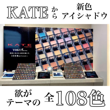 ケイト ザ アイカラー/KATE/単色アイシャドウを使ったクチコミ(1枚目)