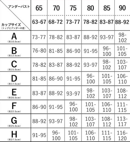 Viageビューティーアップナイトブラ ネイビー/ネクステージ/ナイトブラの画像