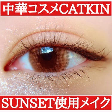 長相思シリーズ 9色アイシャドウパレット/CATKIN/アイシャドウパレットを使ったクチコミ（1枚目）