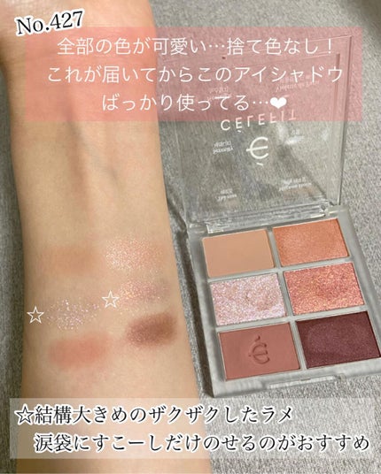 プロアイシャドウパレットセシル/CELEFIT/アイシャドウパレットを使ったクチコミ(4枚目)