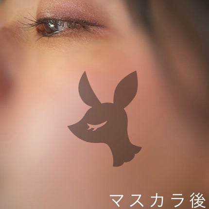 EMAKED(エマーキット)/水橋保寿堂製薬/まつげ美容液を使ったクチコミ(3枚目)