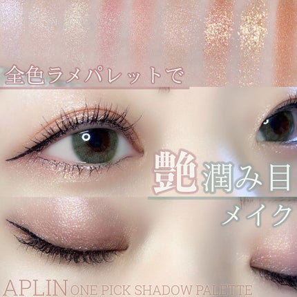 ワンピックアイシャドウパレット/APLIN/アイシャドウパレットを使ったクチコミ(1枚目)