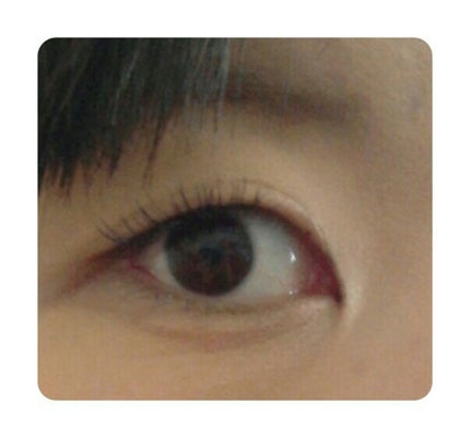 ディーアップアイラッシュ シークレットライン LUXELASH(リュクスラッシュ)/D-UP/つけまつげを使ったクチコミ(2枚目)