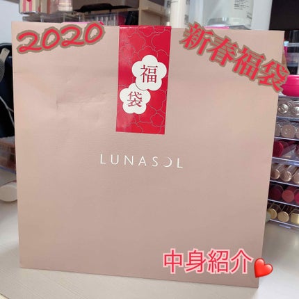 スキンモデリングアイズ/LUNASOL/アイシャドウパレットを使ったクチコミ(1枚目)