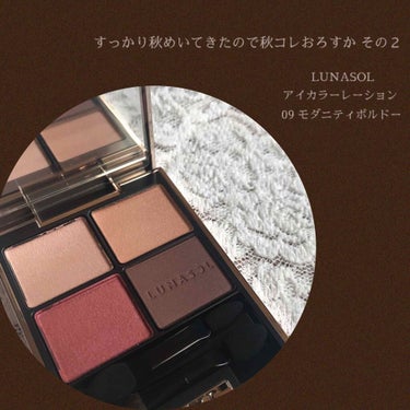 アイカラーレーション 09 Modernity Bordeaux/LUNASOL/アイシャドウパレットを使ったクチコミ（1枚目）