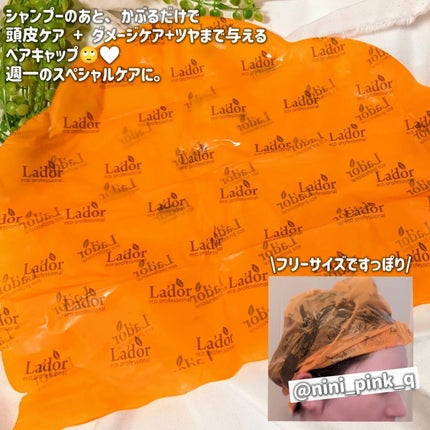 ACV VINEGAR HAIR CAP /La'dor/アウトバストリートメントを使ったクチコミ(2枚目)