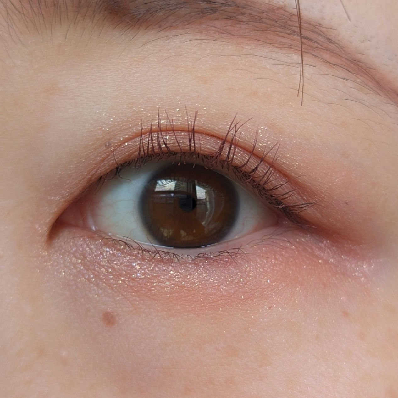 ジルスチュアート ブルームクチュール アイズ　ジュエルドブーケ 09 pansy tanzanite<パステルペタルハーモニー>（限定）/JILL STUART/アイシャドウパレットを使ったクチコミ（3枚目）