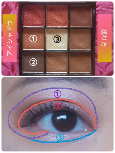 UR GLAM　BLOOMING EYE COLOR PALETTE/U R GLAM/アイシャドウパレットを使ったクチコミ（3枚目）