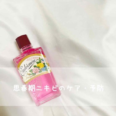 オイデルミン（N）/SHISEIDO/化粧水を使ったクチコミ（1枚目）