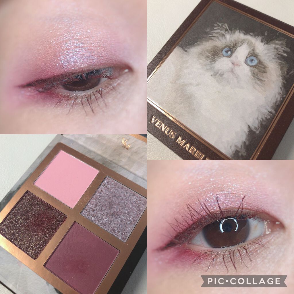 Venus Marble アイシャドウキャットシリーズ/Venus Marble/アイシャドウパレットを使ったクチコミ(1枚目)