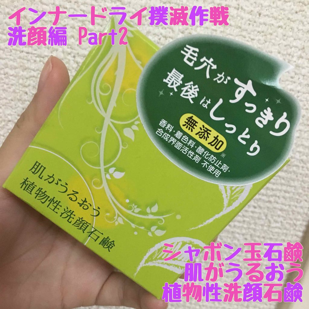 肌がうるおう植物性洗顔石鹸 シャボン玉石けん