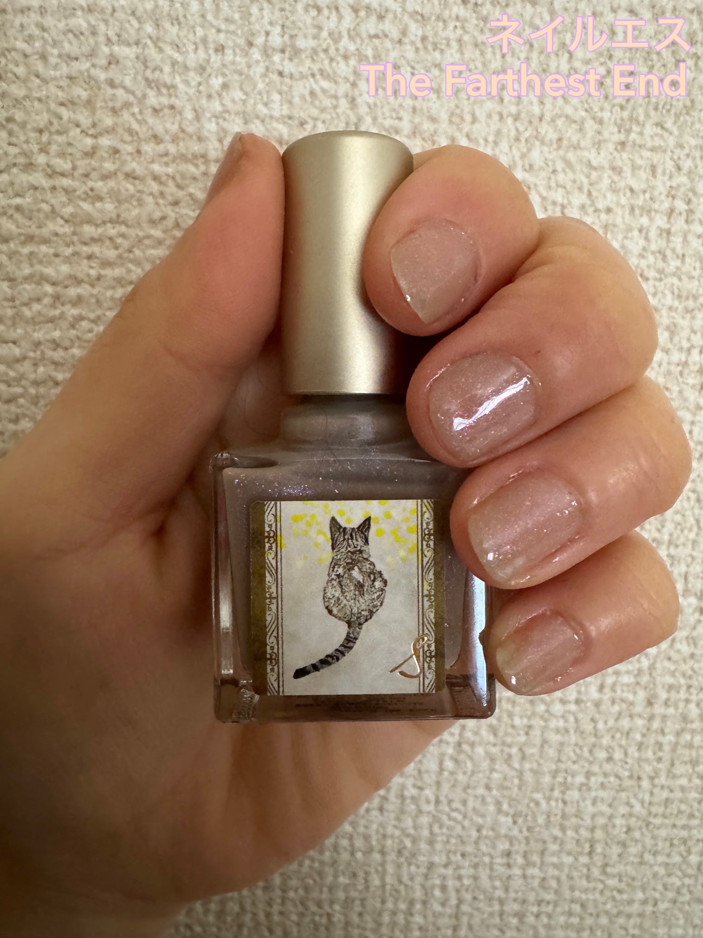 ネイルエス/ nail S(ネイルエス) /マニキュアを使ったクチコミ(1枚目)