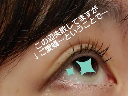 パーフェクトエクステンション マスカラ/D-UP/マスカラを使ったクチコミ(6枚目)