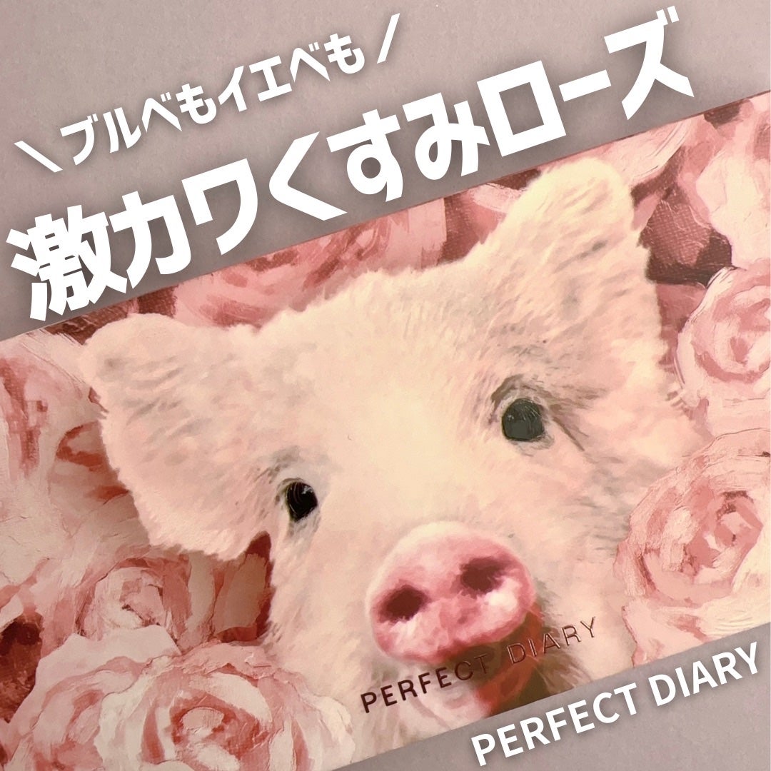 エクスプローラ12色 動物アイシャドウパレット/PERFECT DIARY/アイシャドウパレットを使ったクチコミ(1枚目)
