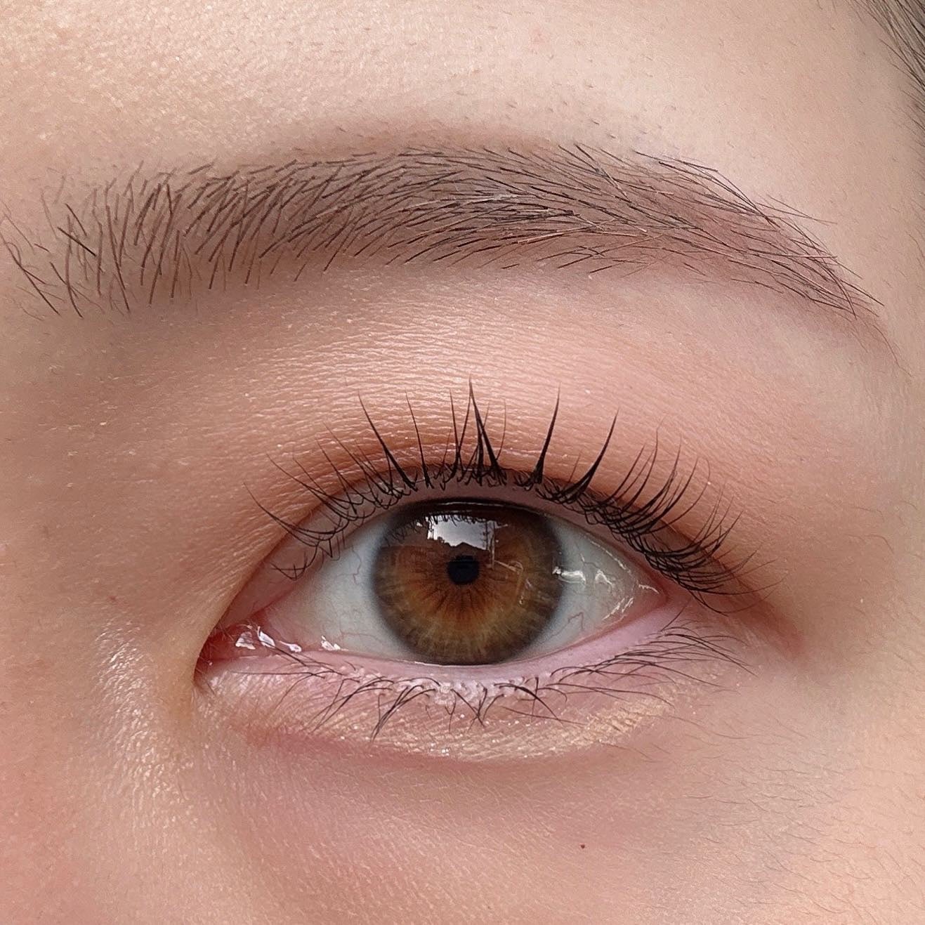 チョコレートシリーズアイシャドウパレット/FlowerKnows/アイシャドウパレットを使ったクチコミ(5枚目)