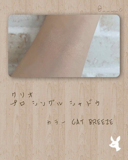 プロ シングル シャドウ/CLIO/単色アイシャドウを使ったクチコミ(2枚目)