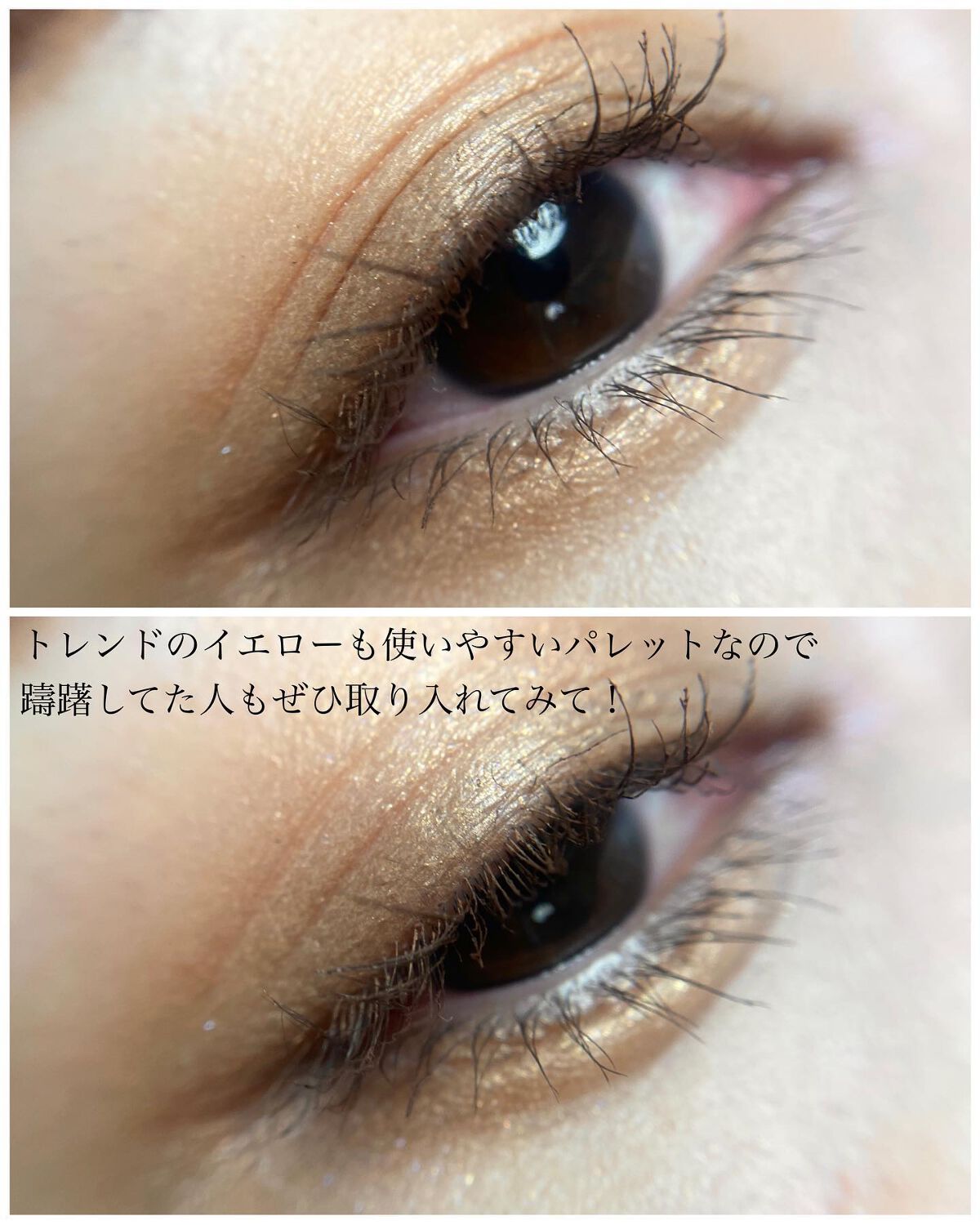 セルヴォーク ヴァティック アイパレット/Celvoke/アイシャドウパレットを使ったクチコミ(6枚目)