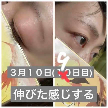 スカルプDボーテ ピュアフリーアイラッシュセラム プレミアムクイーン/アンファー(スカルプD)/まつげ美容液を使ったクチコミ(6枚目)