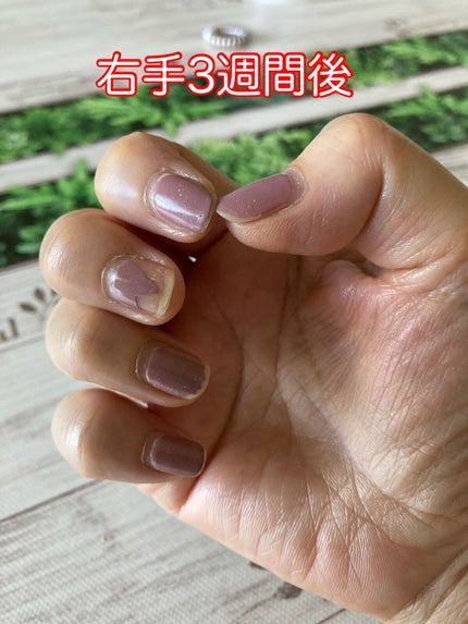 ã©ããðµðð¹ð¿ on LIPS ãã³ã¹ã¡ã§ã¯ãªãã®ã§ããâ¥ãžã§ã«ãã€ã«ã§ã¯ãªãããçŸããå¥åº·ãªçª..ãïŒ6æç®ïŒ