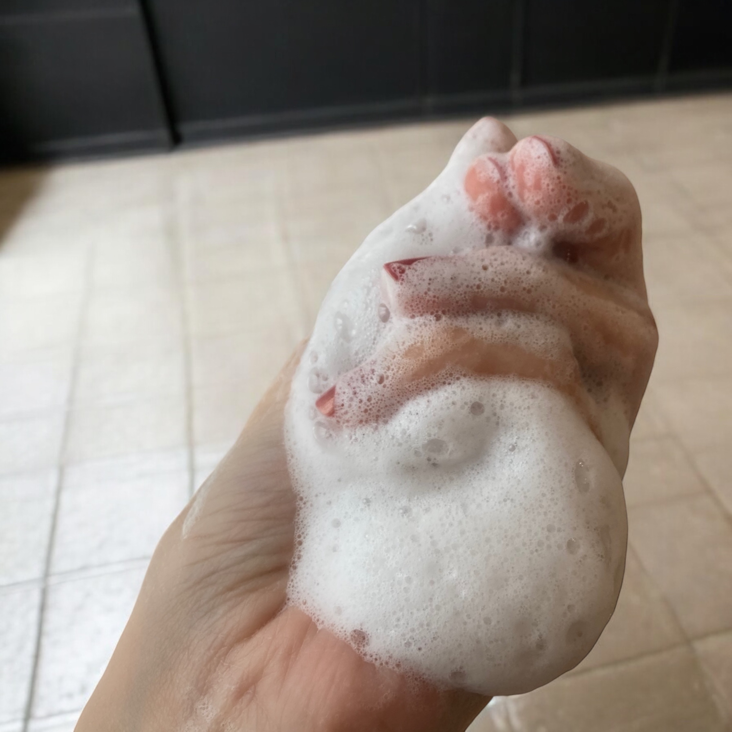 アルソア クイーンシルバー/アルソア/洗顔石鹸を使ったクチコミ（3枚目）