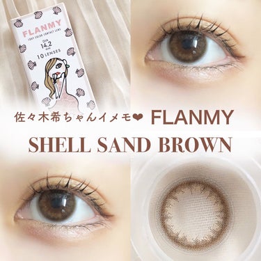 FLANMY 1day（10枚/30枚） シェルサンドブラウン/FLANMY/ワンデー（１DAY）カラコンの画像