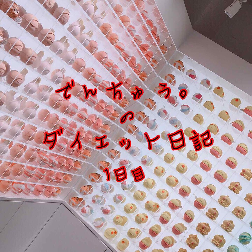 でんちゅう。 on LIPS 「🏃♀️ダイエット日記1日目🏃♀️📌起床時間4:45📌食事の..」(1枚目)