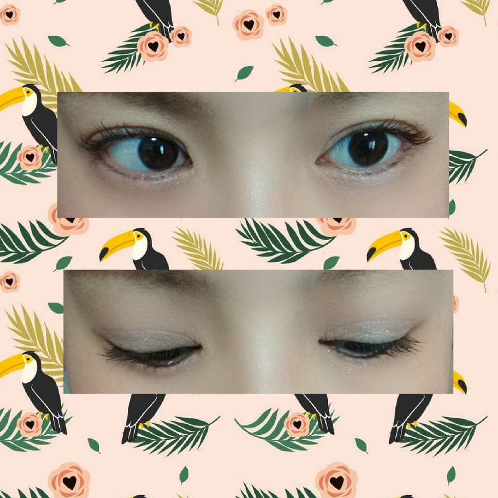 クイックラッシュカーラー/キャンメイク/マスカラ下地を使ったクチコミ(2枚目)