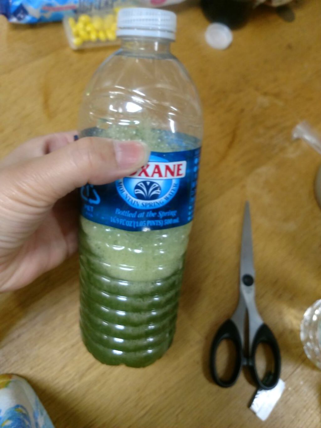 朝のフルーツ青汁/ヤクルトヘルスフーズ/青汁を使ったクチコミ(5枚目)