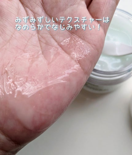 1番 塗るパントテン酸スージングクリーム/numbuzin/フェイスクリームを使ったクチコミ(5枚目)