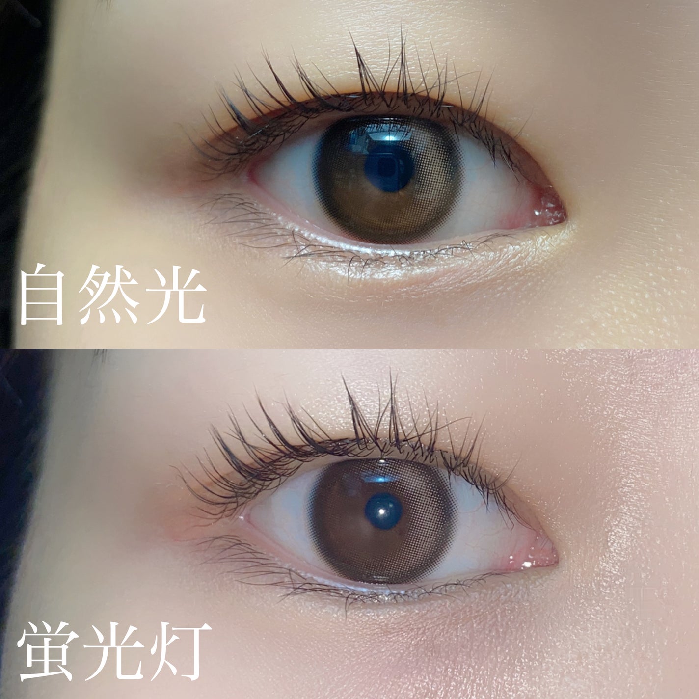 Glowy Natural 1Day/OLENS/カラーコンタクトレンズを使ったクチコミ(4枚目)