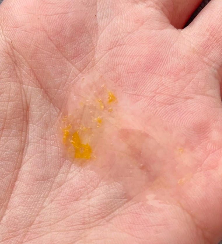 イモーテル オーバーナイトリセットセラム/L'OCCITANE/美容液を使ったクチコミ（2枚目）