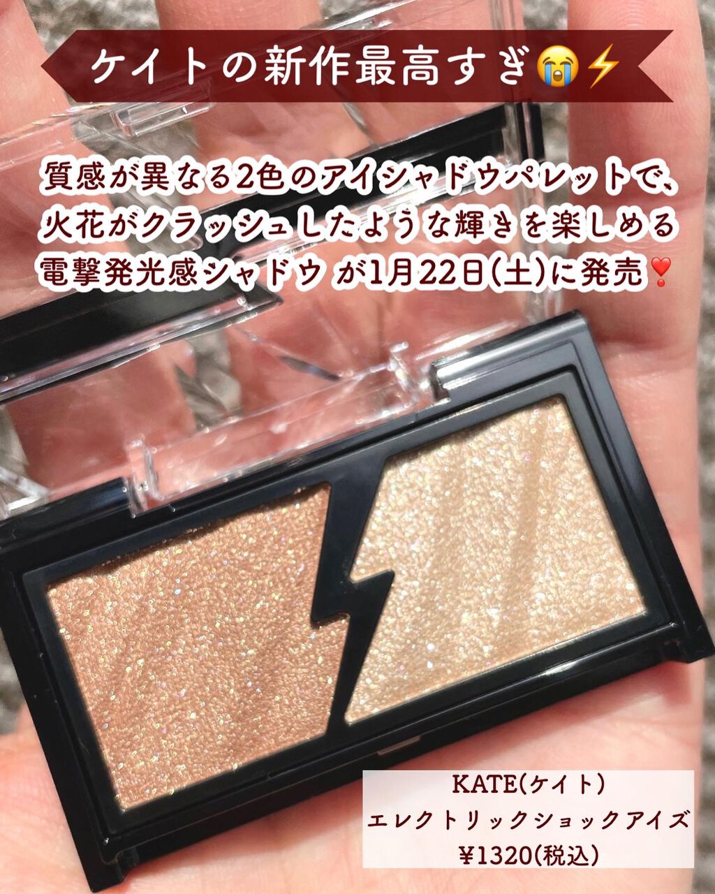 エレクトリックショックアイズ /KATE/アイシャドウパレットを使ったクチコミ（2枚目）