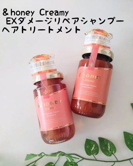 Creamy EXダメージリペアシャンプー1.0/ヘアトリートメント2.0/&honey/市販シャンプーを使ったクチコミ(1枚目)