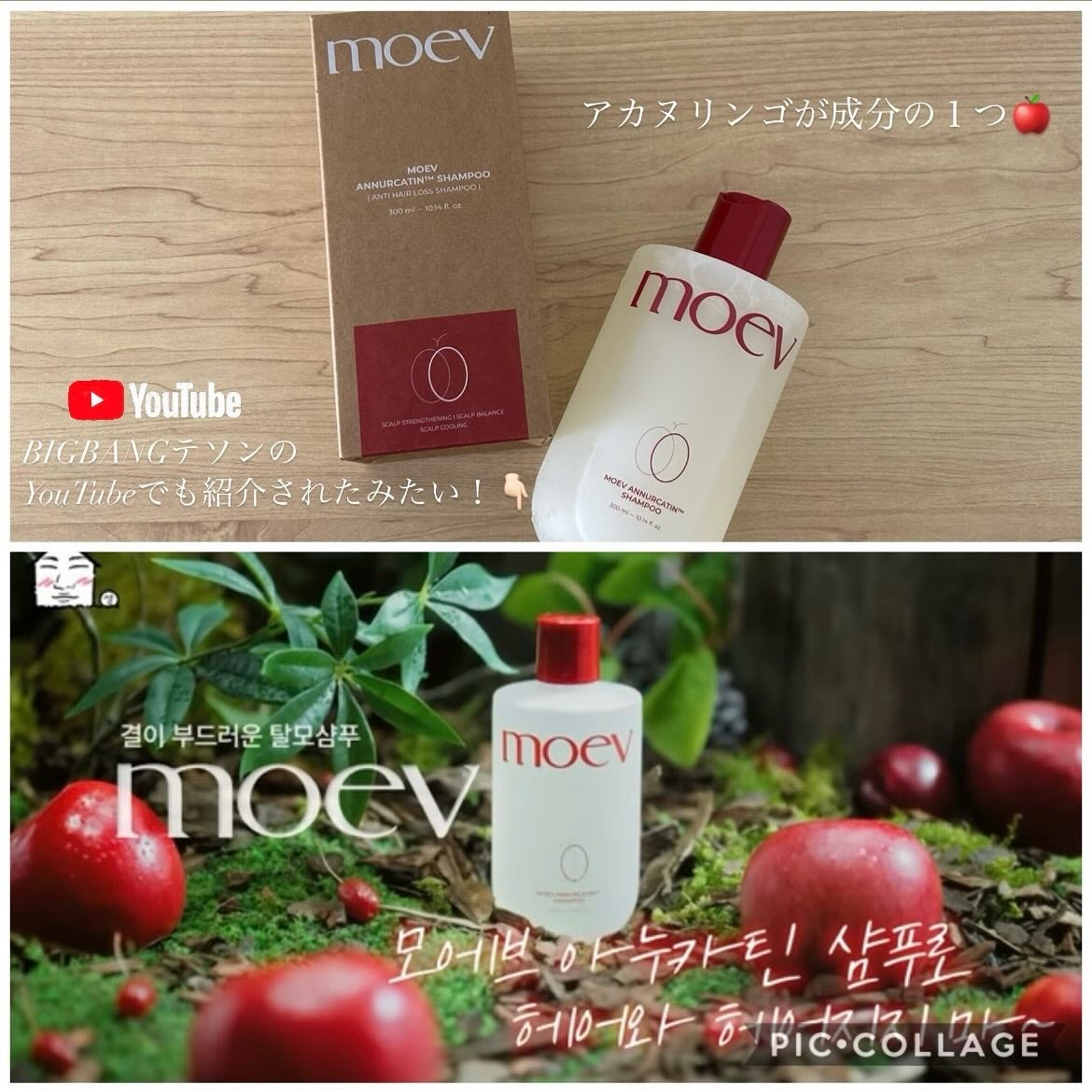 モエブ アヌカチン シャンプー/トリートメント/moev/市販シャンプーを使ったクチコミ(5枚目)