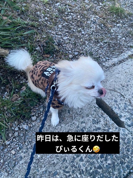 スキルレスライナー/LUMIURGLAS/リキッドアイライナーを使ったクチコミ(7枚目)