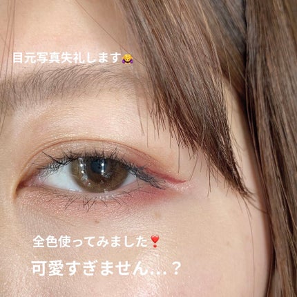 リアルクローズシャドウ/excel/アイシャドウパレットを使ったクチコミ(4枚目)