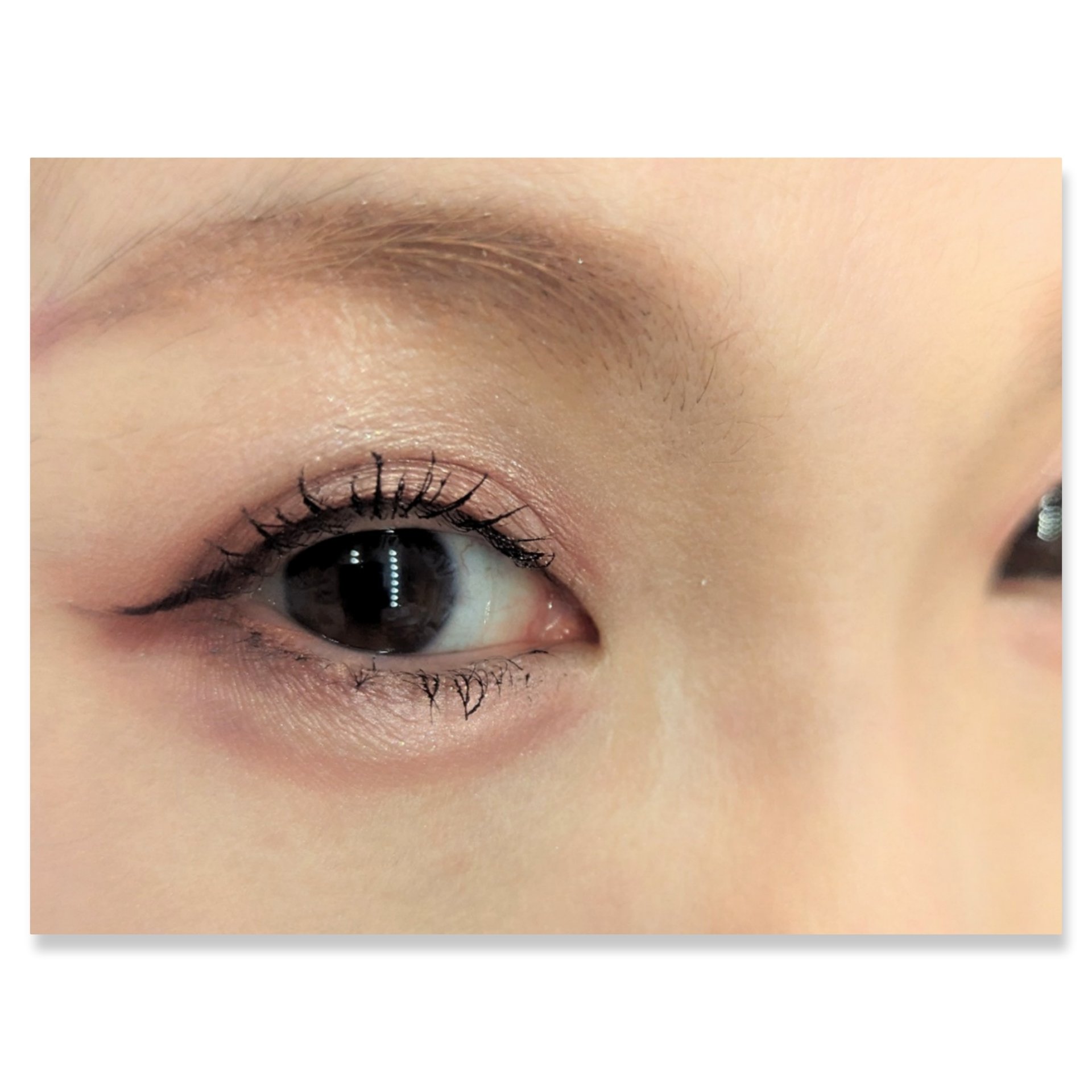  グラム アイ シャドウ ハニーピンク(HONEY PINK)/U/CHOO/アイシャドウパレットを使ったクチコミ（2枚目）