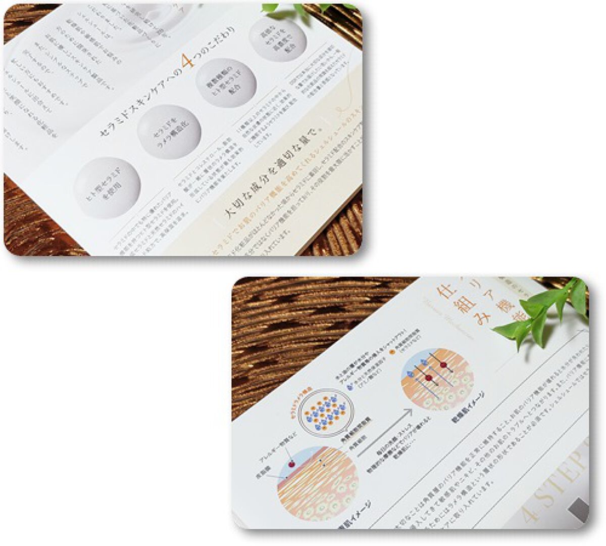 アドバンストローションC シェルシュール