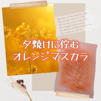 スカイハイ/MAYBELLINE NEW YORK/マスカラを使ったクチコミ(1枚目)