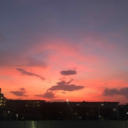 口紅(詰替用)/ちふれ/口紅を使ったクチコミ(1枚目)