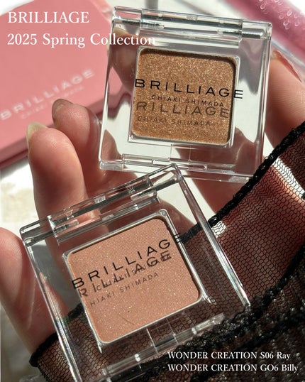 ワンダークリエイション /ブリリアージュ/単色アイシャドウを使ったクチコミ(2枚目)