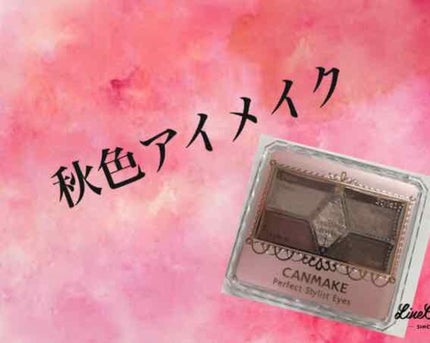 【旧品】パーフェクトスタイリストアイズ/キャンメイク/アイシャドウパレットを使ったクチコミ(1枚目)