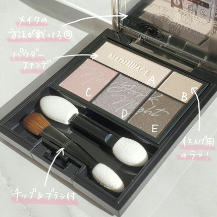 ドラマティックスタイリングアイズ/マキアージュ/アイシャドウパレットを使ったクチコミ(2枚目)