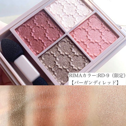 グロッシーリッチ アイズ N/Visée/アイシャドウパレットを使ったクチコミ(3枚目)