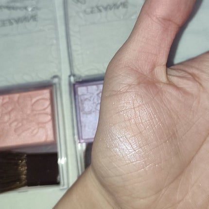 パールグロウニュアンサー/CEZANNE/パウダーハイライトを使ったクチコミ(4枚目)