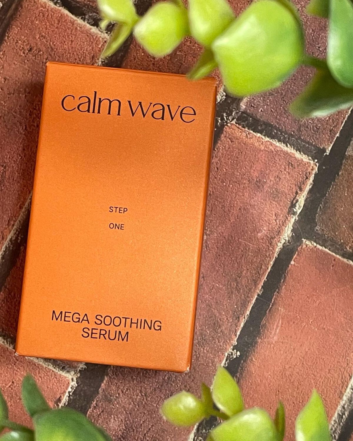 カームウェーブ - Mega Soothing Serum/elloher/美容液を使ったクチコミ（1枚目）