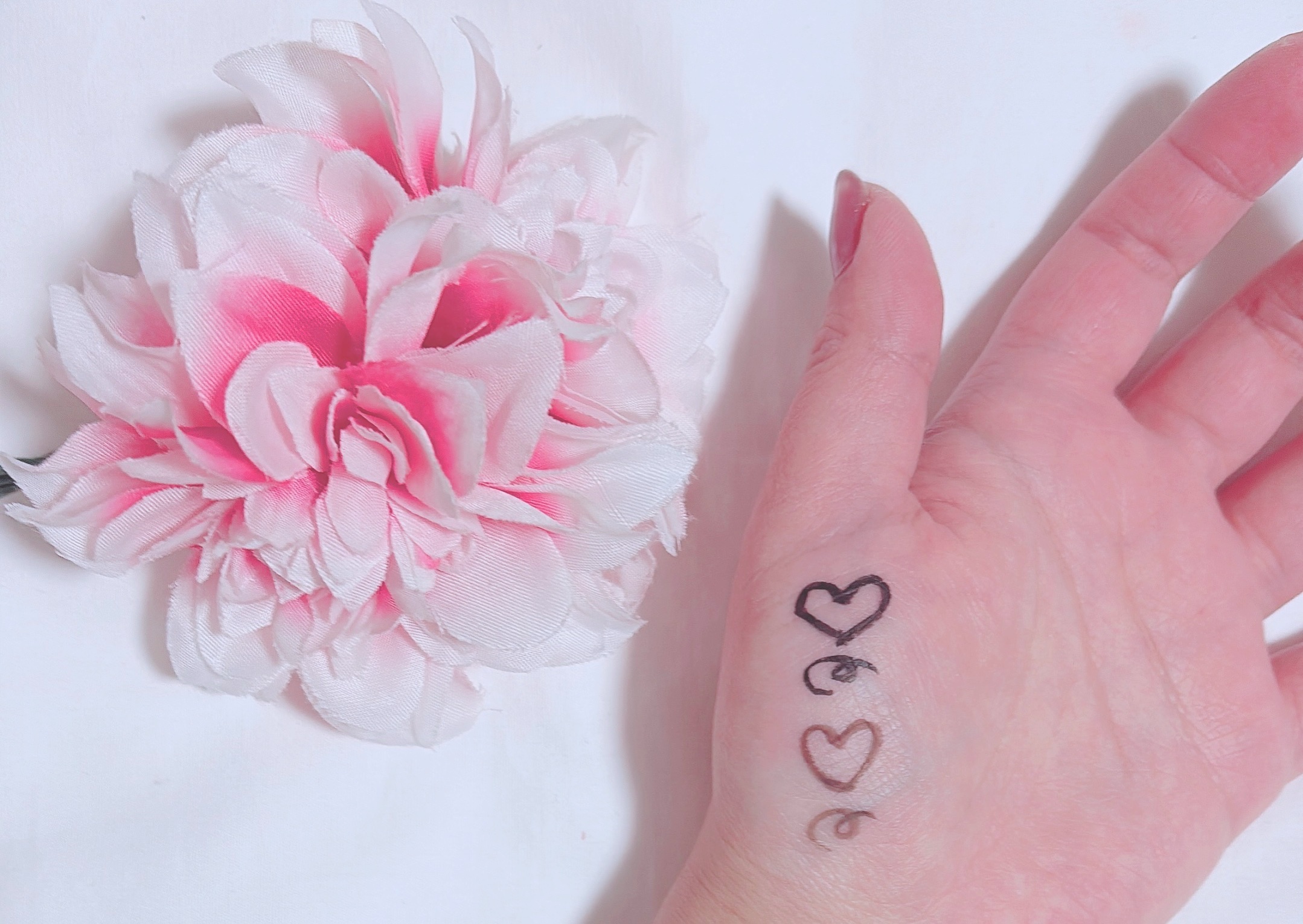 リキッドブラシペンアイライナー/SISTER ANN/リキッドアイライナーを使ったクチコミ（2枚目）