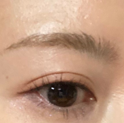 ミックスアイブロウカラー/キャンメイク/パウダーアイブロウを使ったクチコミ(7枚目)
